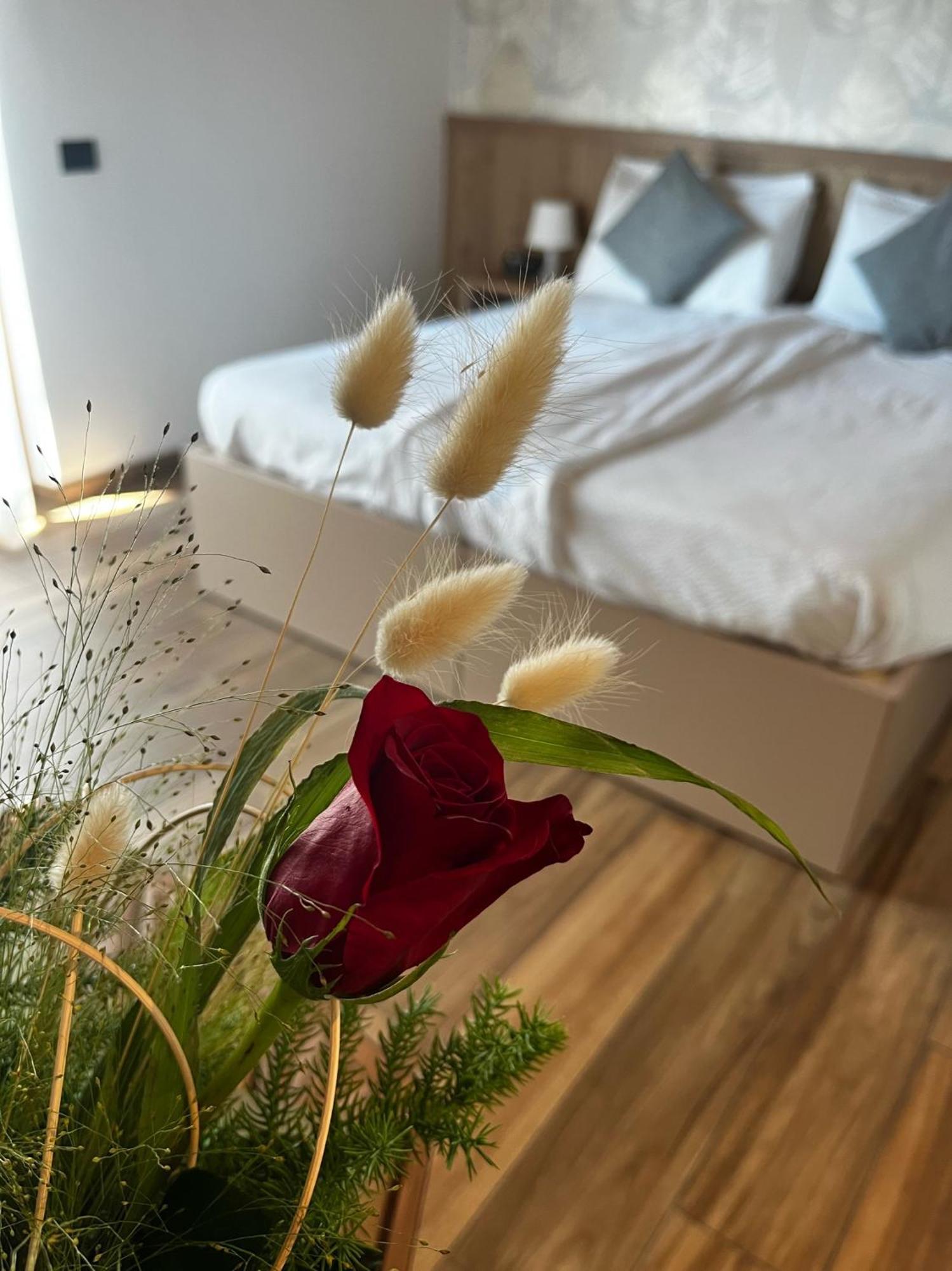 Agriturismo Maso Miri ترينتو المظهر الخارجي الصورة